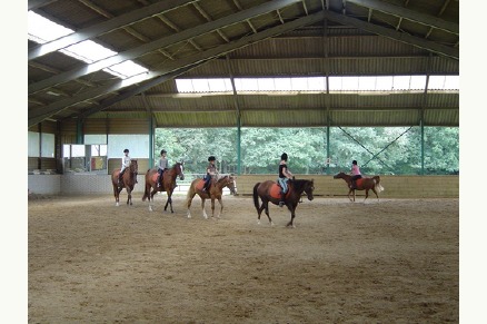 Bungalowpark de Bronzen Emmer Drenthe met paardenstalling en manege VMP019